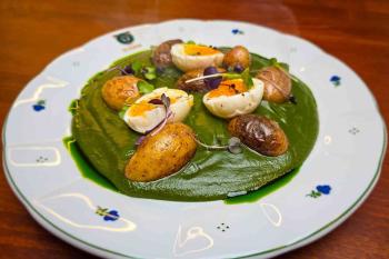 Spinach purée - Račice Castle